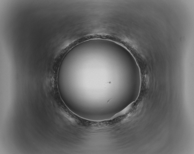 X0000111511159200907211157