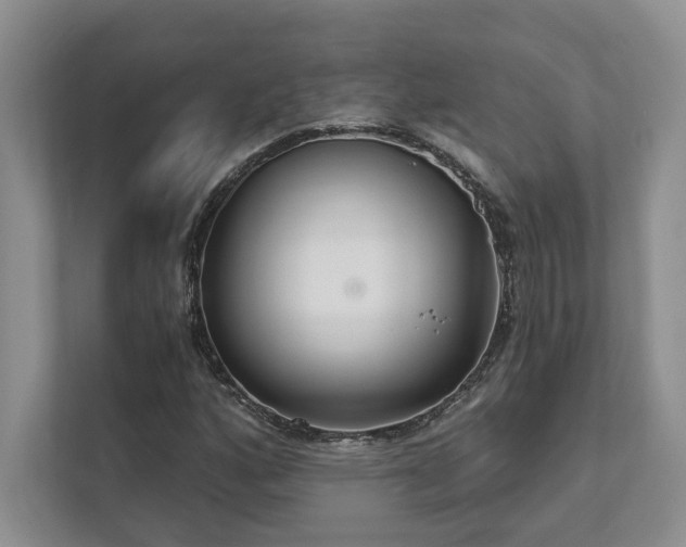 X0000111511160200907211157
