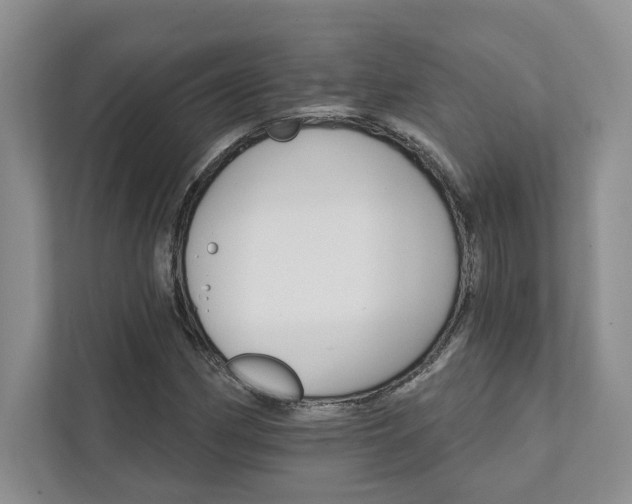 X0000111511162200907211157