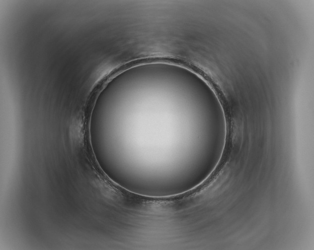 X0000111511163200907211157