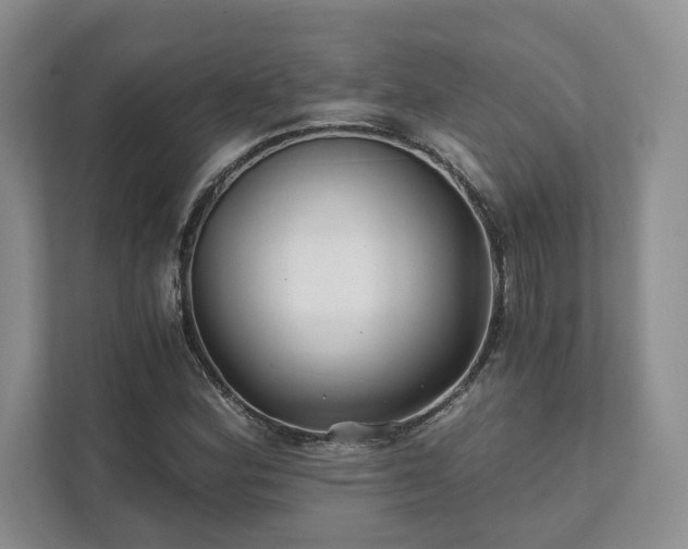 X0000111511164200907211157