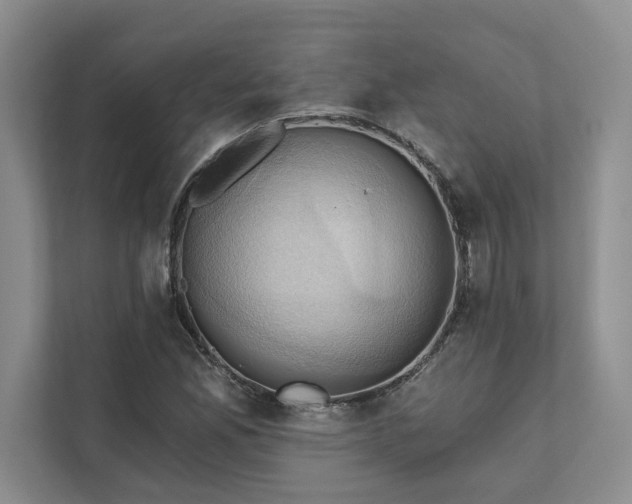 X0000111511165200907211157