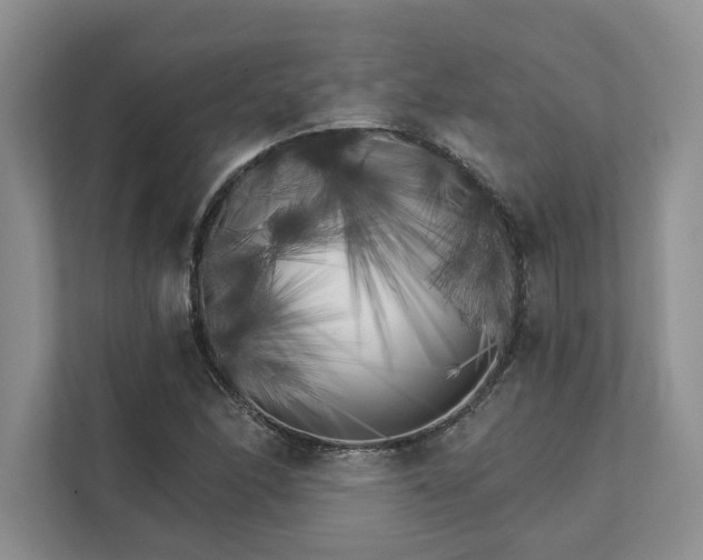 X0000111511166200907211157