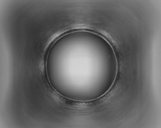 X0000111511167200907211157