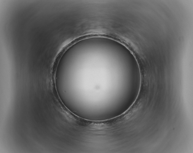 X0000111511168200907211157