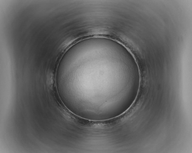 X0000111511169200907211157