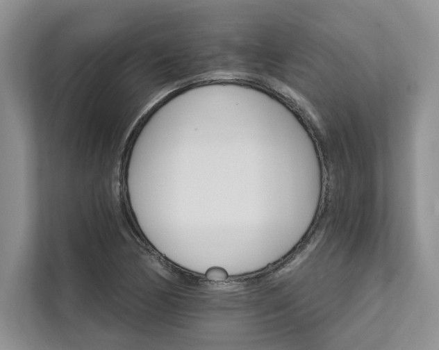 X0000111511170200907211157