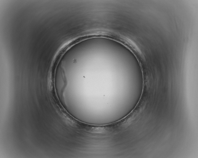 X0000111511172200907211157
