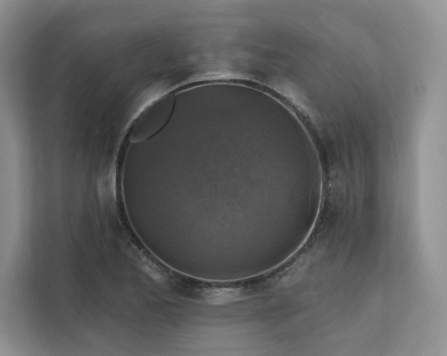 X0000111511173200907211157