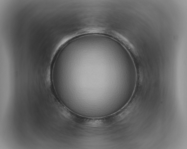 X0000111511174200907211157