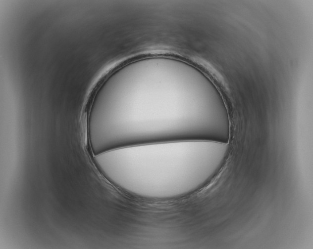 X0000111511175200907211157
