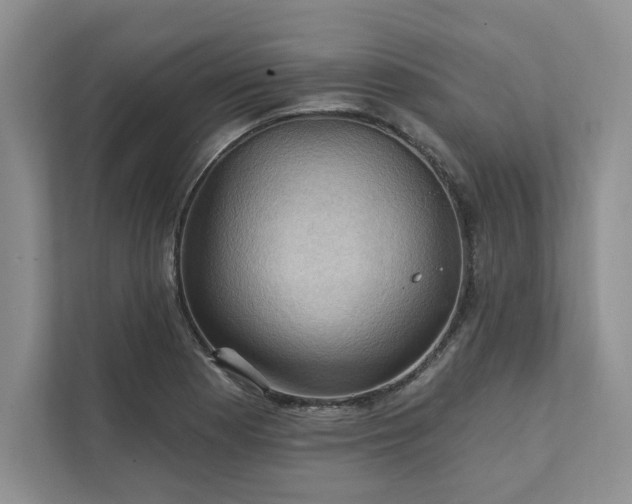 X0000111511177200907211157