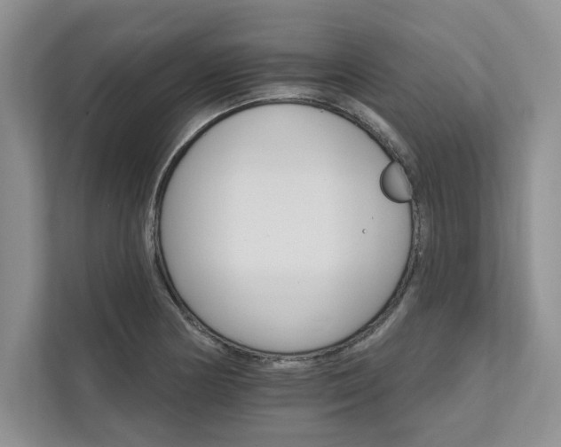 X0000111511178200907211157