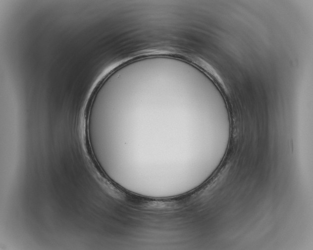 X0000111511179200907211157