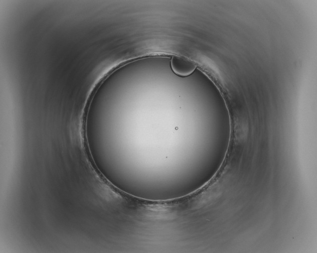 X0000111511182200907211157