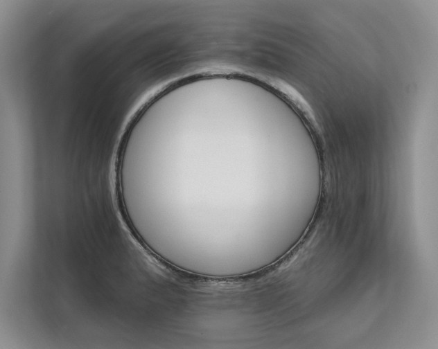 X0000111511183200907211157