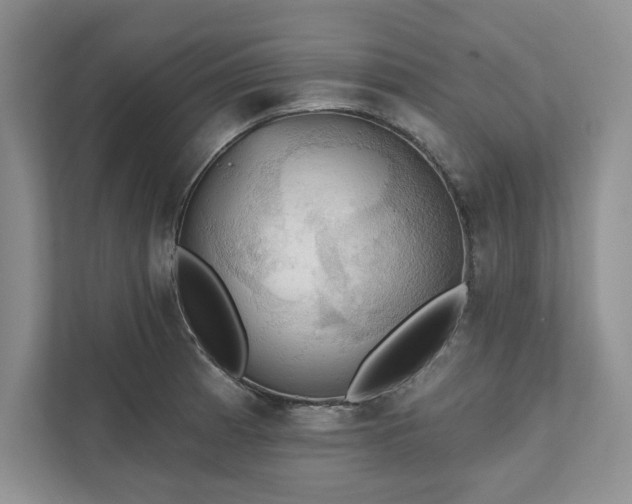 X0000111511185200907211157