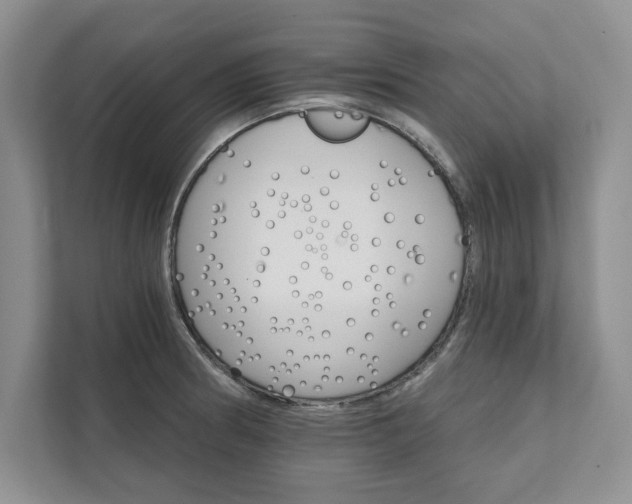 X0000111511186200907211157