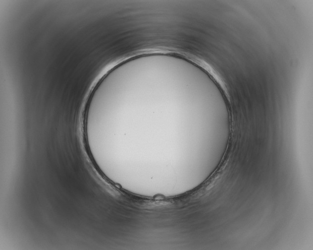X0000111511187200907211157