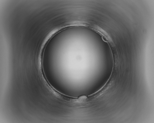 X0000111511188200907211157