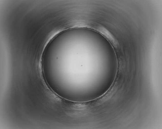 X0000111511190200907211157