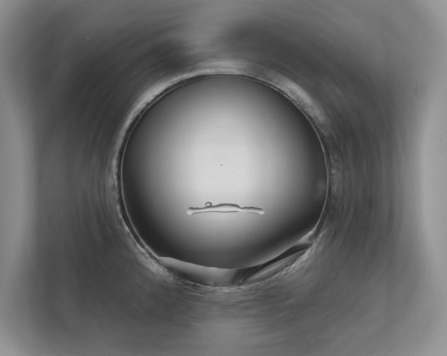 X0000111511192200907211157