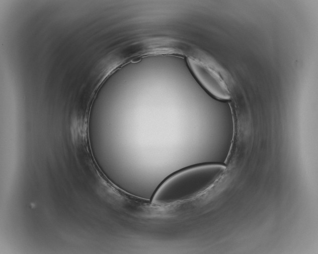 X0000111511193200907211157