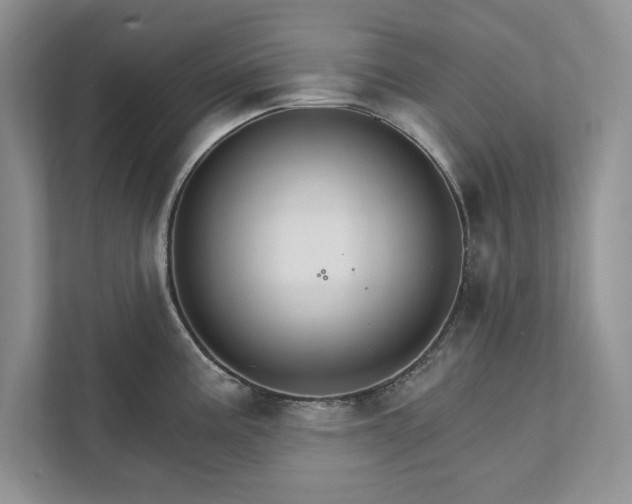 X0000111511195200907211157