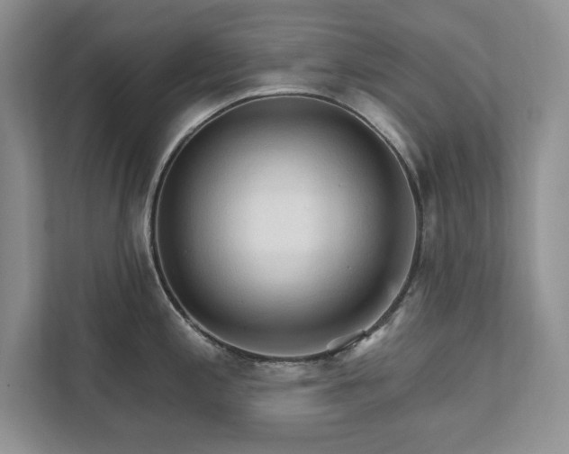 X0000111511197200907211157