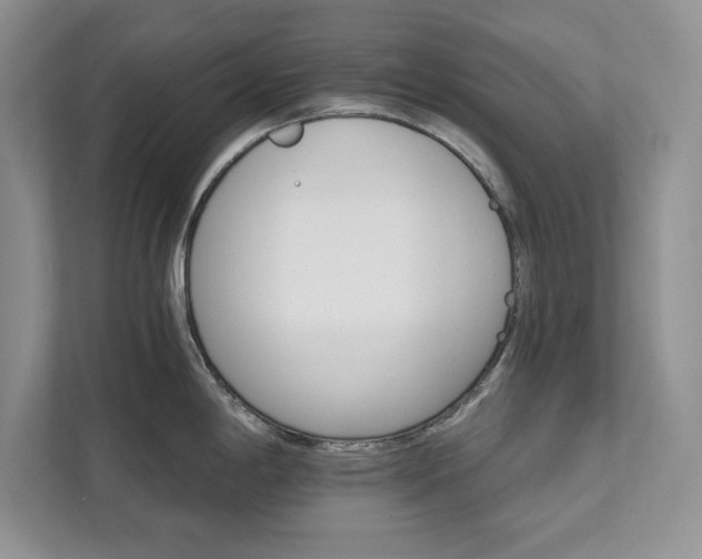 X0000111511198200907211157