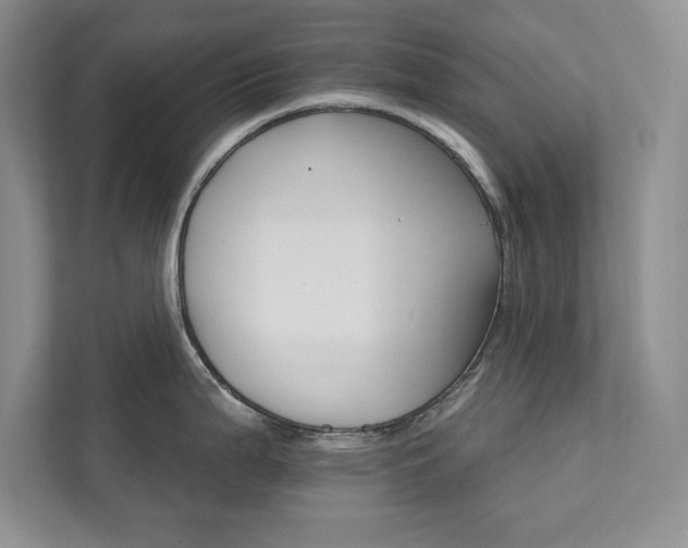 X0000111511199200907211157