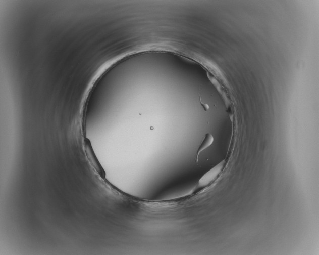 X0000111511200200907211157