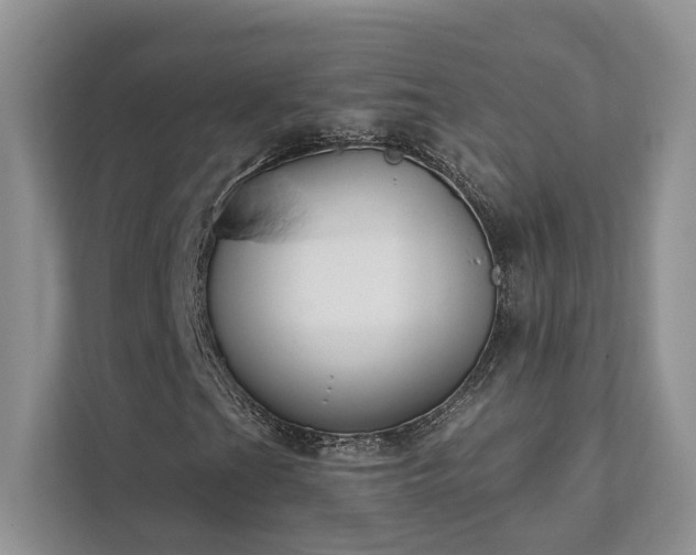 X0000111511201200907211156