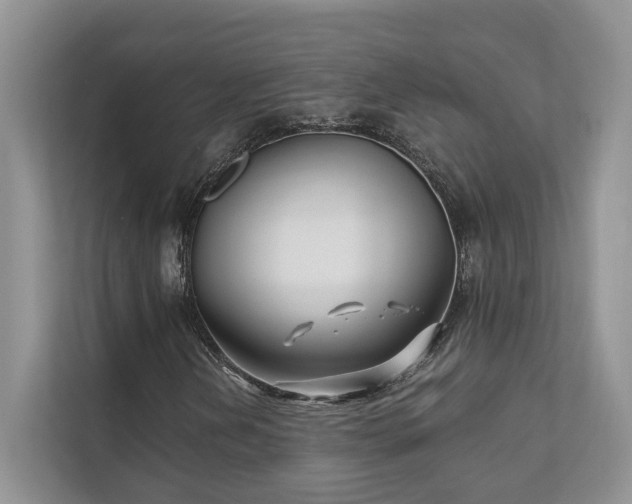X0000111511202200907211156