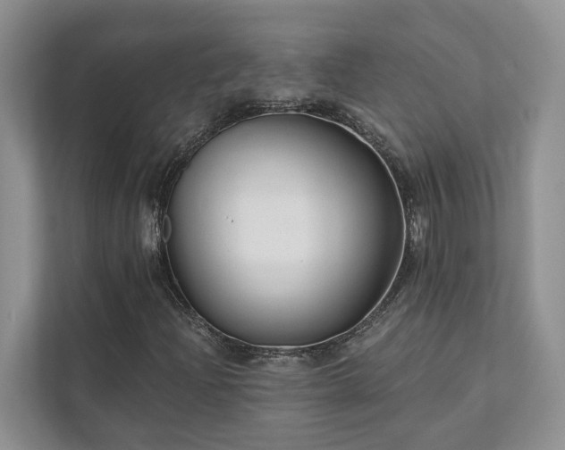 X0000111511204200907211156