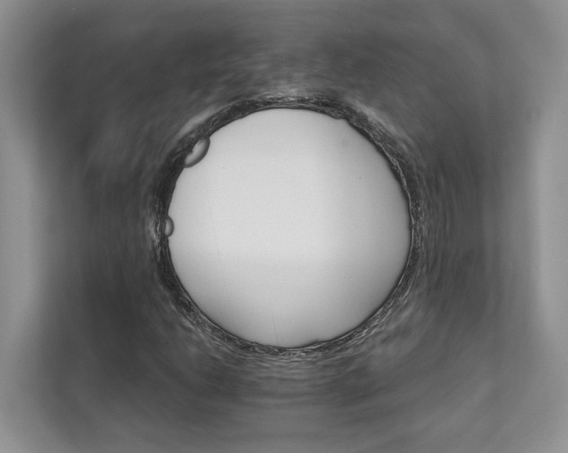 X0000111511206200907211156