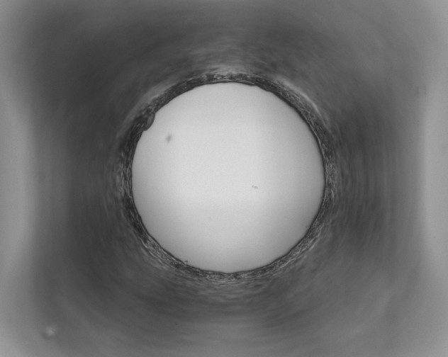 X0000111511207200907211156