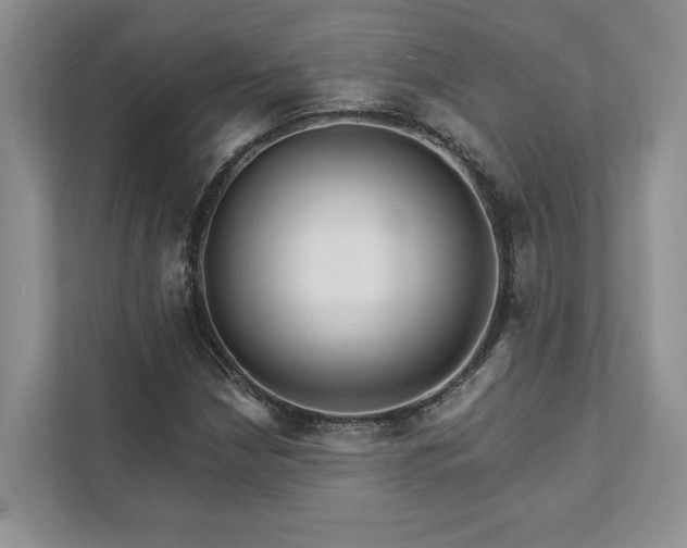 X0000111511210200907211156