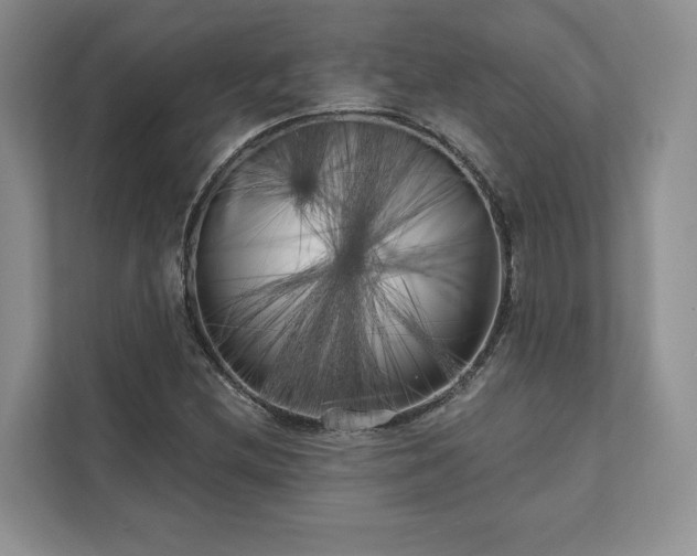 X0000111511212200907211156