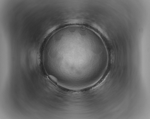X0000111511213200907211156