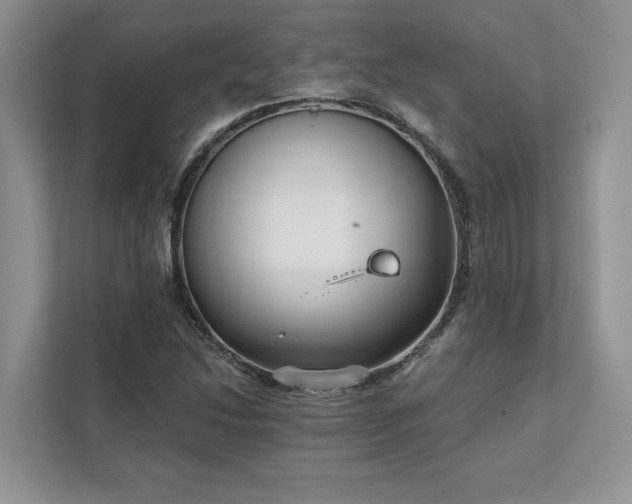 X0000111511214200907211156