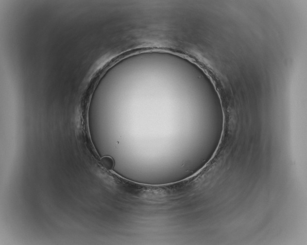 X0000111511215200907211156