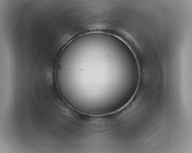 X0000111511217200907211156