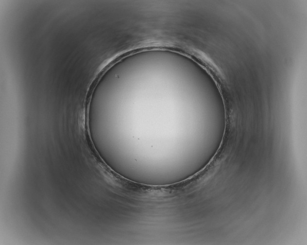 X0000111511220200907211156