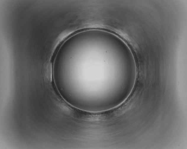 X0000111511223200907211156