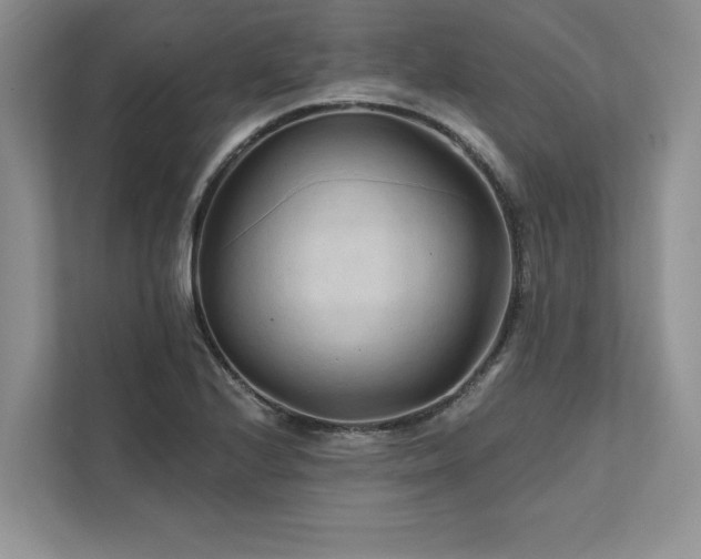 X0000111511224200907211156