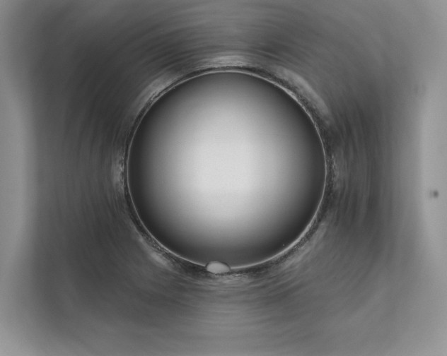 X0000111511225200907211156