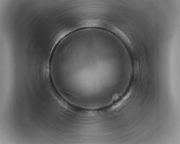 X0000111511226200907211156