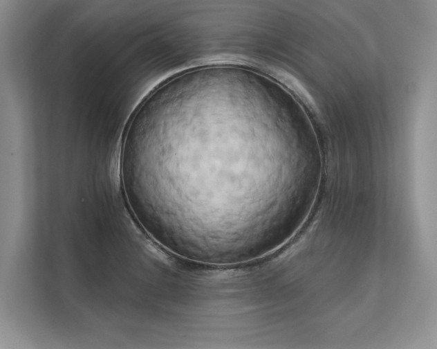 X0000111511228200907211156