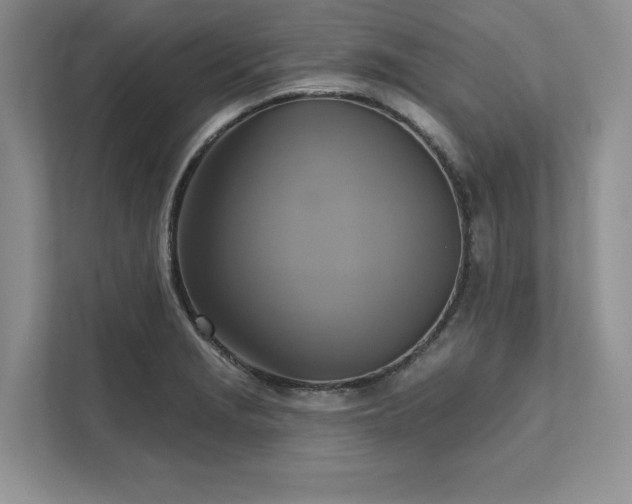 X0000111511229200907211156